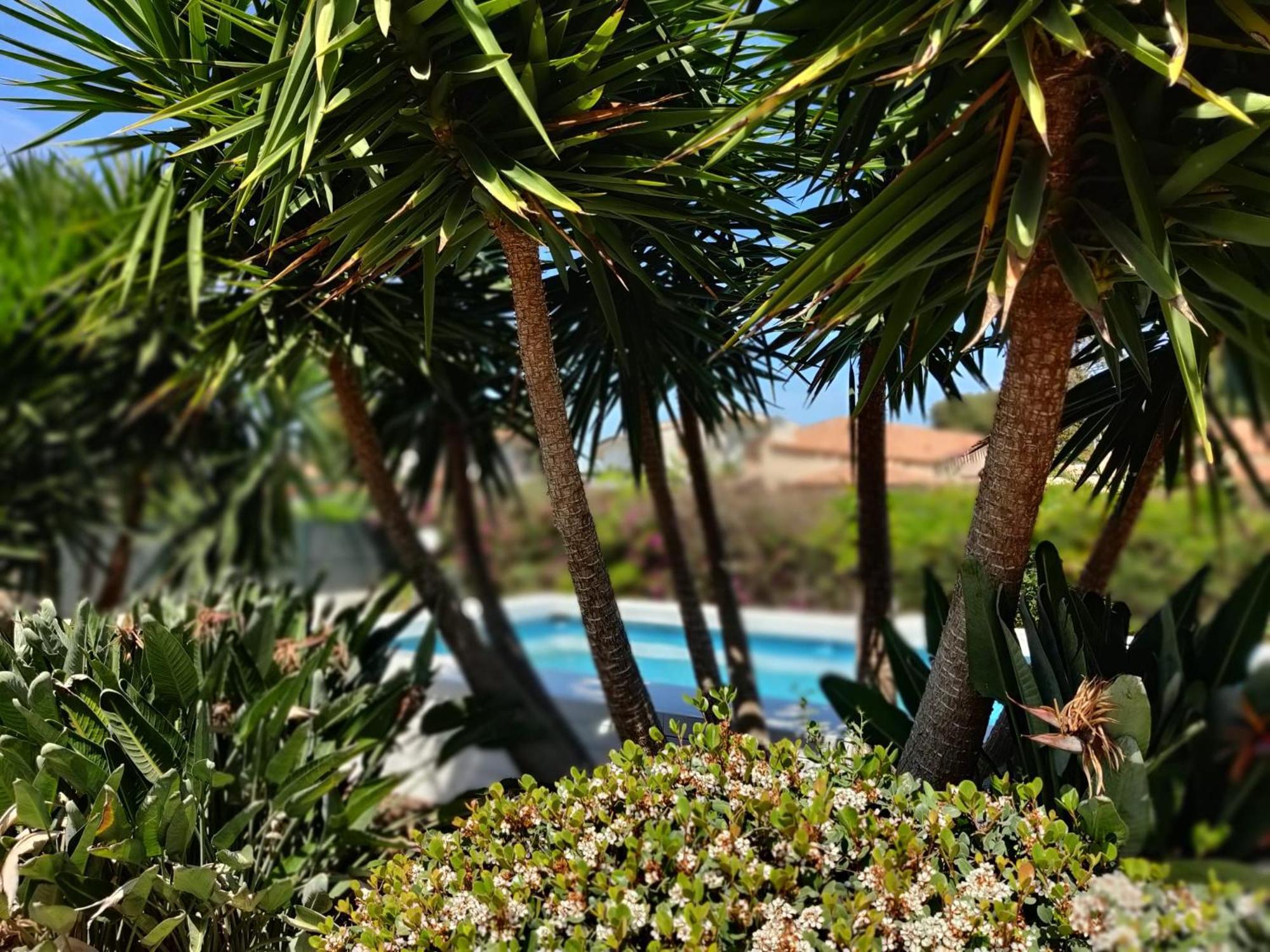 Pool Seaside Relais - Ville Ninfea, Marea, Rosa E Cassiopea Fontane Bianche Εξωτερικό φωτογραφία